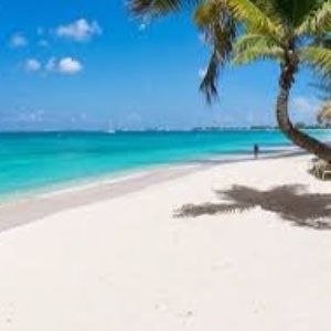 Meet your Posher, Izzy